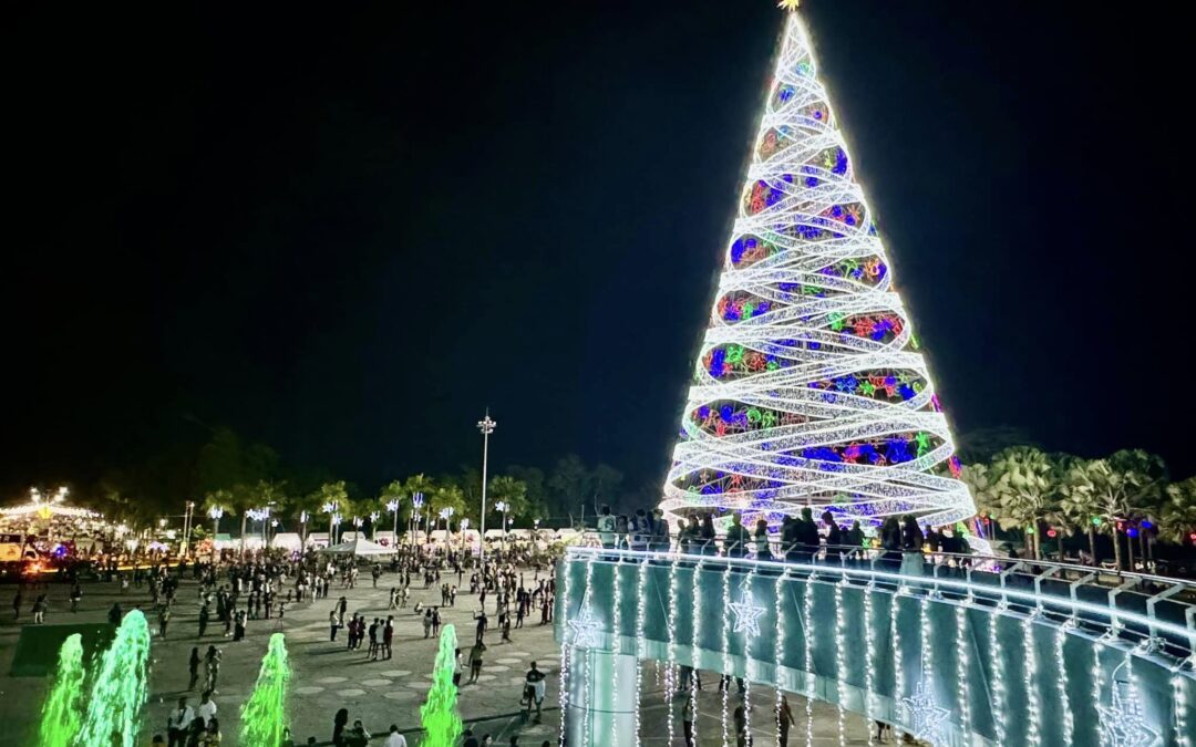 Lighting Up the Holiday Season: The Largest Christmas Tree in Tagum Shines Bright Along JV Ayala Avenue